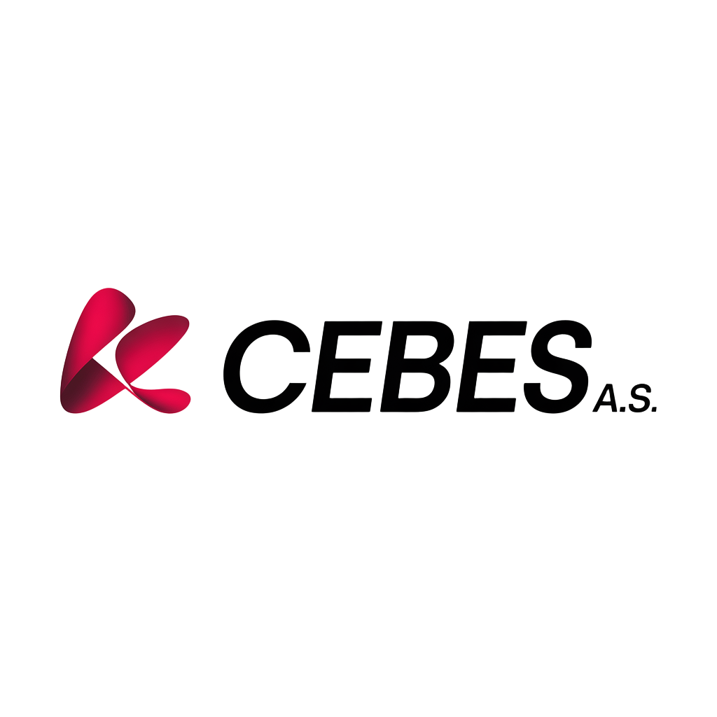 CEBES logo